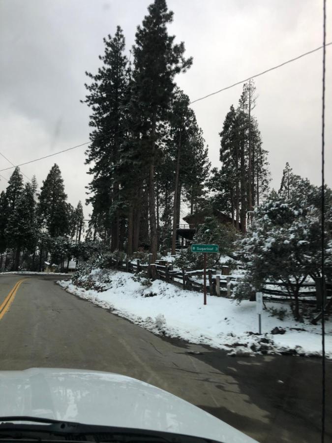 Sequoia National Forest Cabinh Panorama Heights Exteriér fotografie